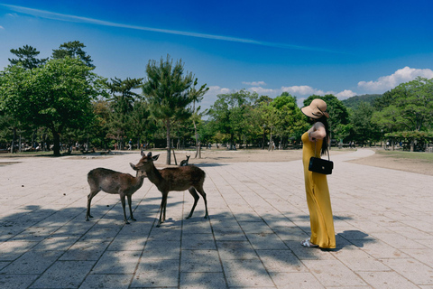 جولة شخصية في مدينة نارا مع مصور محلي