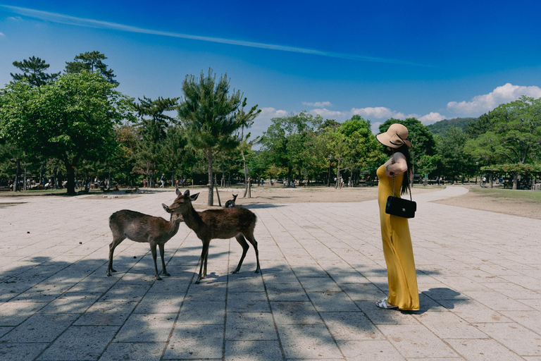 جولة شخصية في مدينة نارا مع مصور محلي