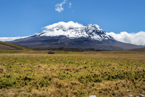 Paramo et forêt de nuages : Expédition ours des Andes