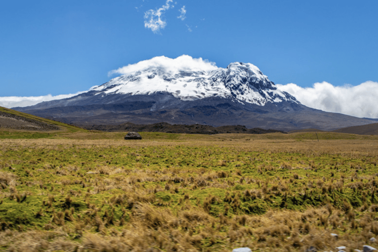 Páramo y Bosque Nublado: Expedición Oso Andino