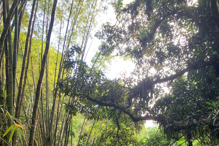 Escursione acquatica nella foresta pluviale
