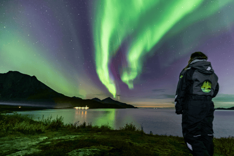 Tromsø: Small-Group Aurora Tour with Free Photos (8 Hours)