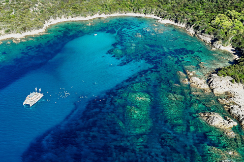 阿雅克肖：乘坐双体船前往桑吉纳雷群岛阿雅克肖：双体船巡游圣萨尔瓦多群岛