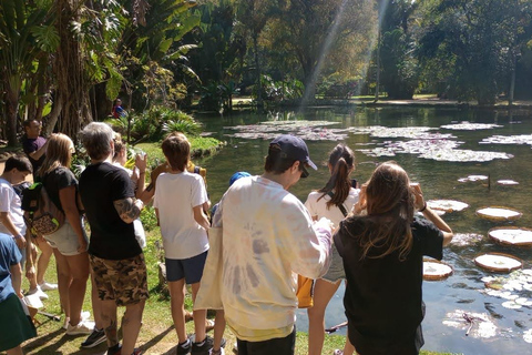 Rio de Janeiro: Botanische Tuin en Tijuca Bos