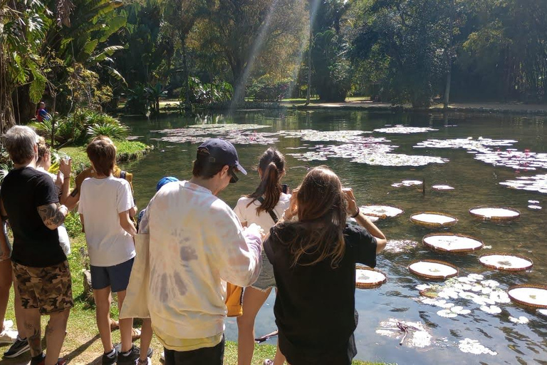 Rio de Janeiro : Jardin botanique et forêt de Tijuca