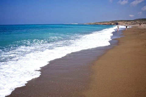 Gola di Avakas e spiaggia di Lara: avventura in minibus da PafosGola di Avakas e nuotata a Lara Beach: avventura in minibus da Pafos