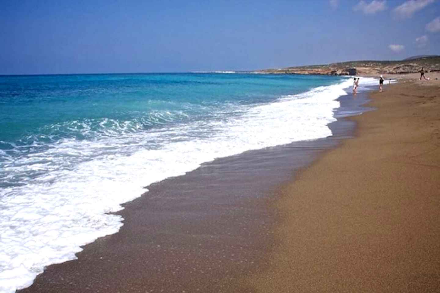 Avakas Gorge & Lara Beach Swim: Minibus Adventure from Pafos