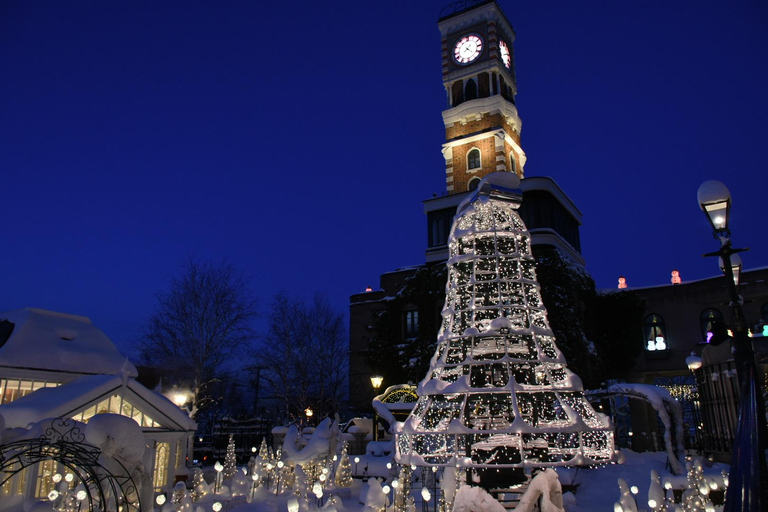 Sapporo: Private Full Day City and Cultural Tour with Guide