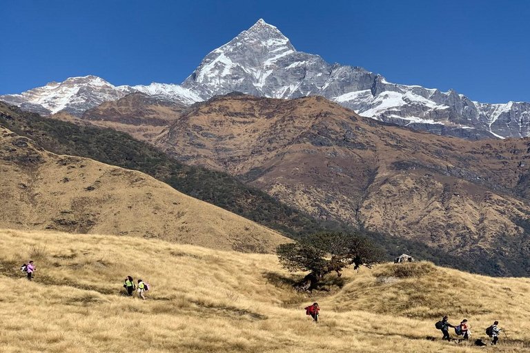 Depuis Pokhara : 3 jours de randonnée sur le sentier du Grand Machhapuchhre (GMT)Pokhara : Magnifique trek de 2 jours à Khumai Danda