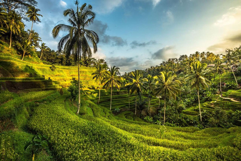 Bali: Private Sangeh Monkey Forest, Temple & Waterfall Tour Without entry tickets