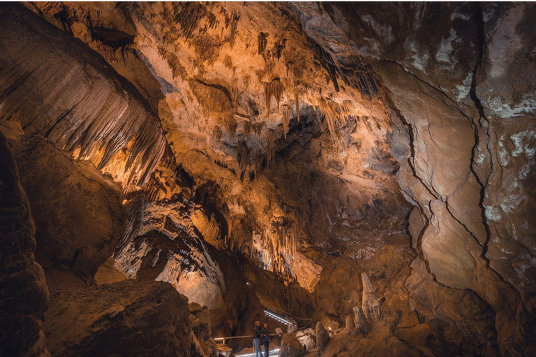 Pacchetto tour di 6 giorni in Tasmania: Icone dell&#039;isola