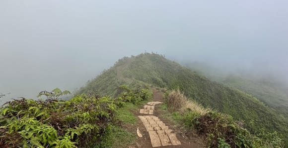 Island of Maui Customized Half-Day Private Tour