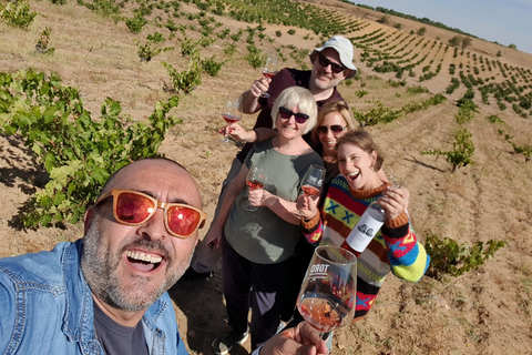 Ribera del Duero Sightseeing Tour: From Madrid to the Ribera del Duero - lunch included RIBERA DEL DUERO WITH FULL LUNCH INCLUDED