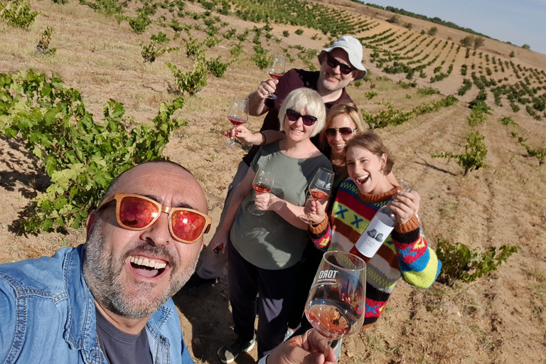 Ribera del Duero Sightseeing Tour: From Madrid to the Ribera del Duero - lunch included RIBERA DEL DUERO WITH FULL LUNCH INCLUDED