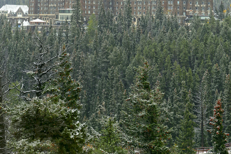Top Deal : 4 Days Banff, Banff Lakes, Japser & Drumheller Private Group 4 Days Banff, Banff Lakes,Japser & Drumheller