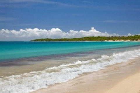 Natadola Beach Tour With Mudpool And Hotspring Lautoka Hotels / Queen Elizabeth docking (Lautoka Wharf)