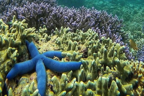 Lombok : Snorkeling Tour Secret Gili, Nanggu, Kedis, Sudak