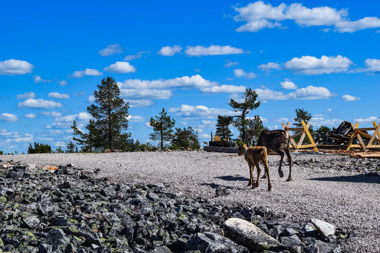 Pyhä-Luosto National Park and Amethyst Mine by Car