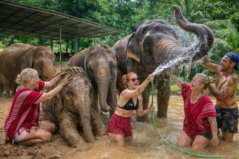 Phuket: Elephant Sanctuary Visit with Mud Spa & Workshop Afternoon: Elephant Sanctuary Visit with Mud Spa & Workshop