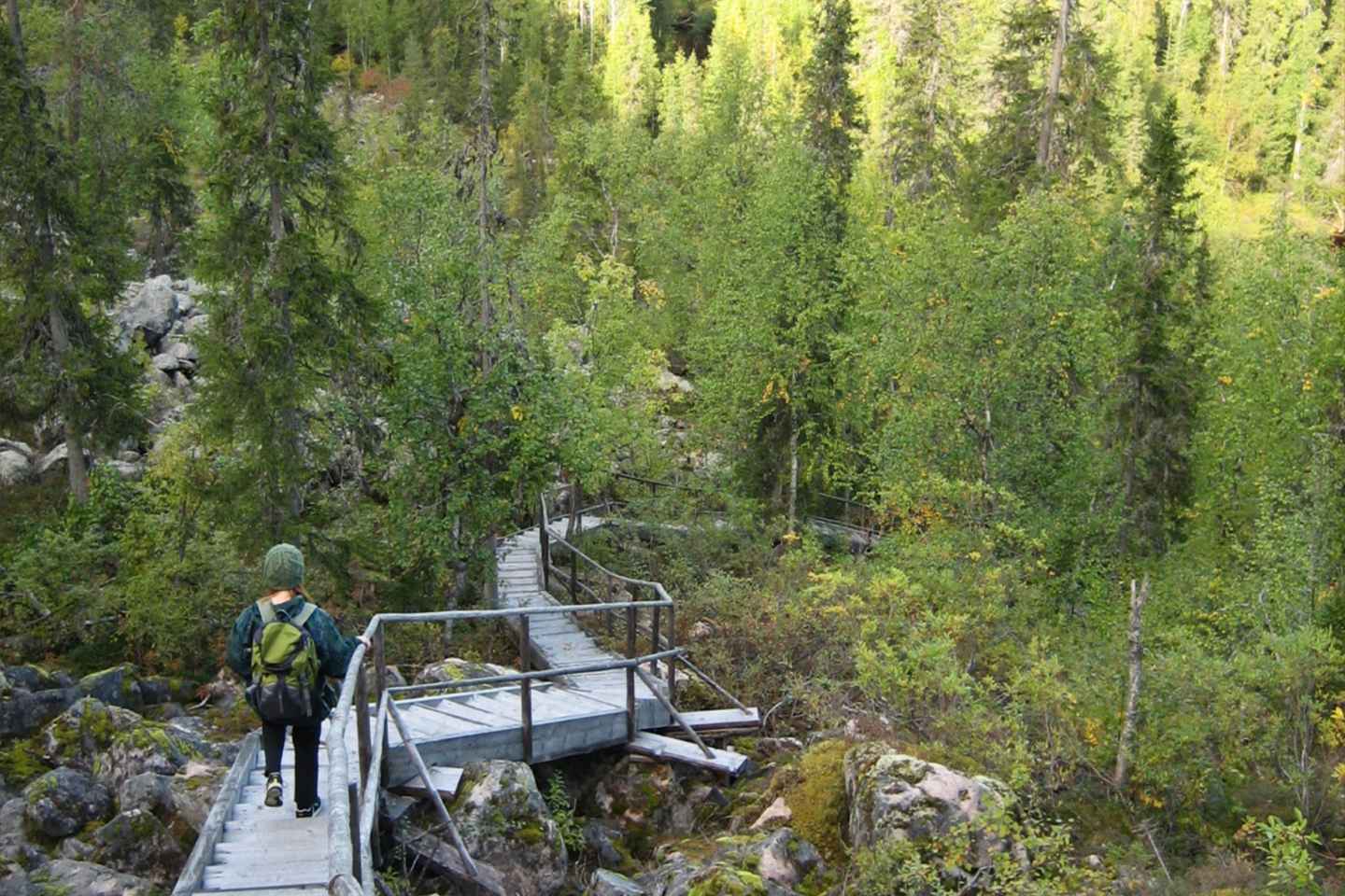 ロヴァニエミ: コロウマ渓谷と滝のBBQツアー