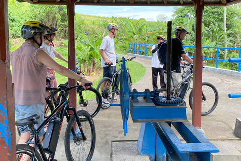 Ubud: Downhill-cykeltur med risfält, vulkan och måltidPrivat grupp