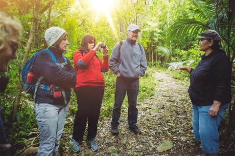 From Wellington: Kapiti Island Classic Guided Day Tour - Image 2