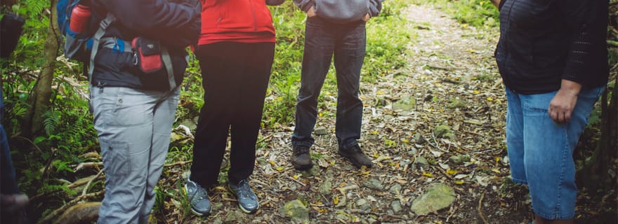 Au départ de Wellington : Visite guidée classique de l'île de Kapiti