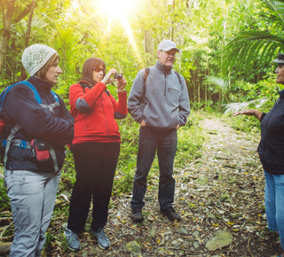 Kapiti Island Nature Reserve: Day Trips and Tours from Wellington