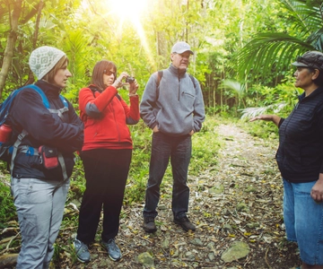 From Wellington: Kapiti Island Classic Guided Day Tour