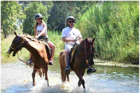 Marmaris: Horseback Riding Safari with Hotel Transfer Private Icmeler Horse Safari