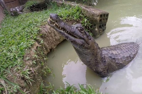 amazon river iquitos day tour