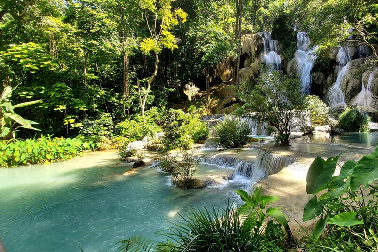 Visit buffalo farm, cooking-class forest, Kuang Si waterfall