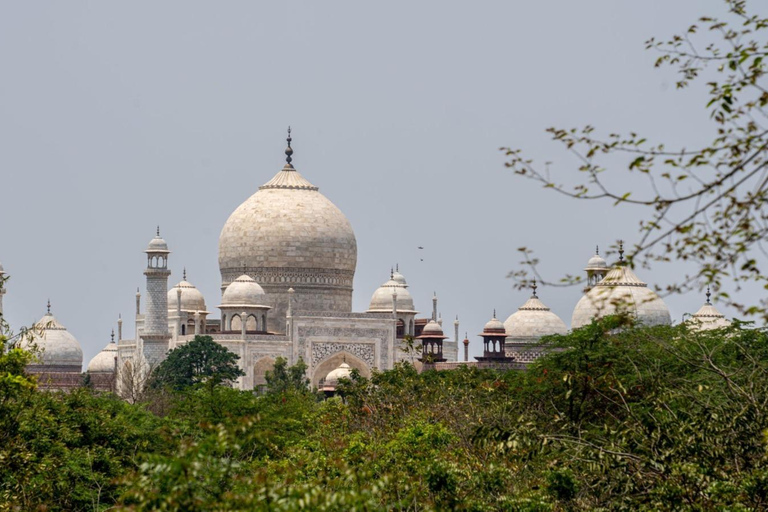 From Delhi: Taj Mahal & Agra Day Tour with Fast-Track Entry From Delhi: Tour with Car, Driver & Guide - Without Tickets