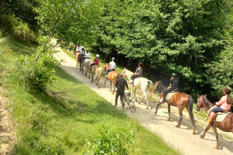 Bukarest: Reiten in der Natur und traditionelles Mittagessen