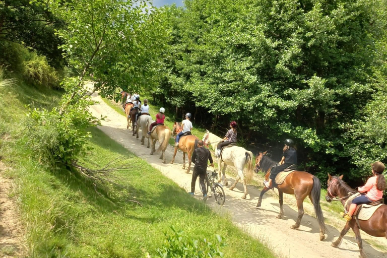 Bukarest: Ridning i naturen och traditionell lunch