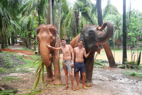 Krabi: Highlights Tour with Krabi Elephant Shelter - Image 2