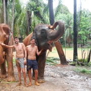 Krabi: Highlights Tour with Krabi Elephant Shelter