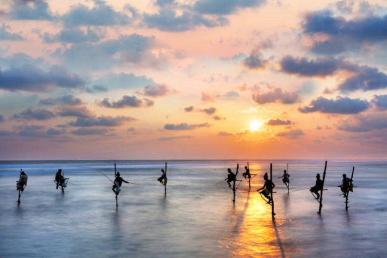 Z Kolombo/Negombo - jednodniowa wycieczka do fortu Galle i plaży Bentota