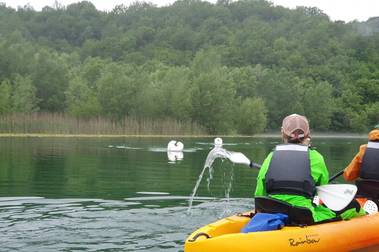Lake Skadar unique day-long kayaking tour from Budva