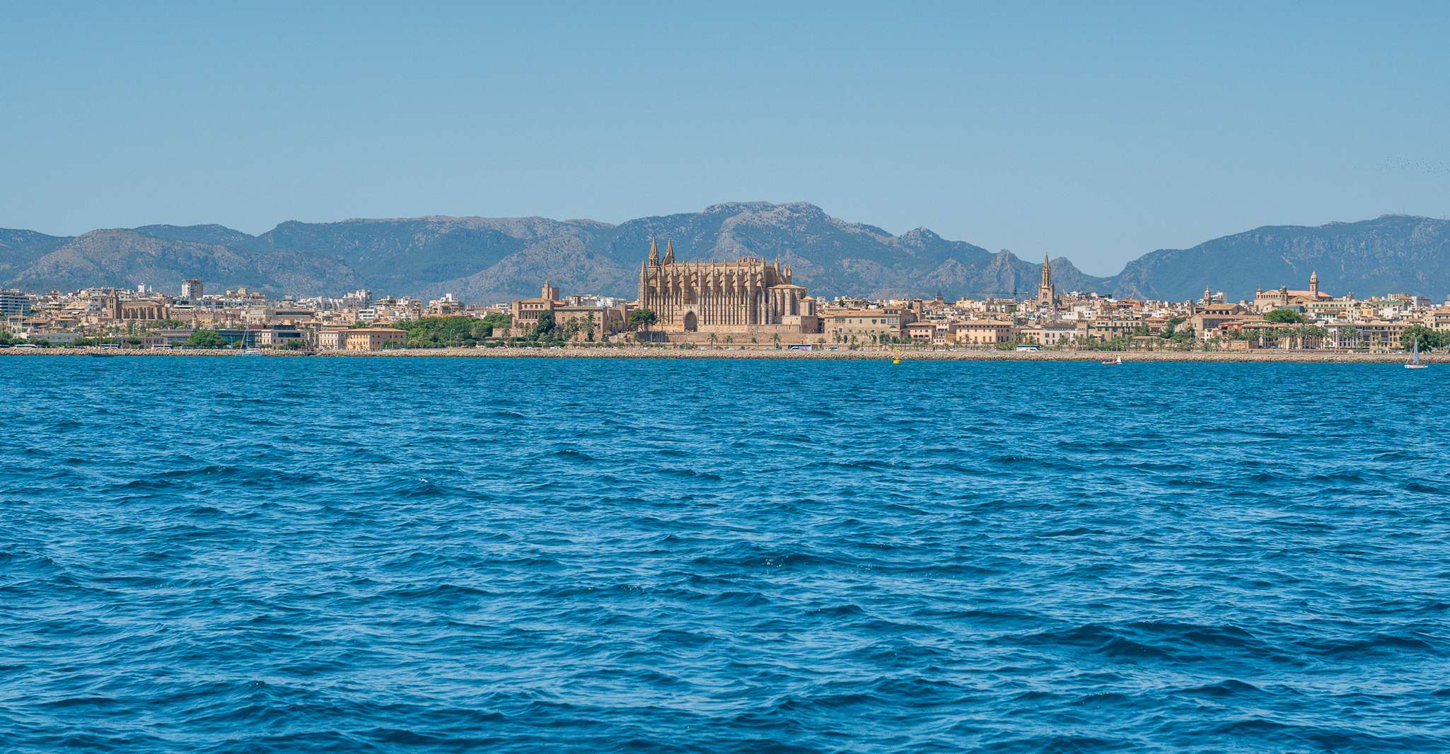 Palma de Mallorca, 5-Hour Catamaran Cruise with Lunch & Swim - Housity