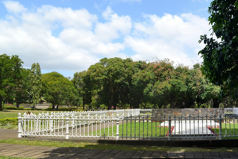 Mauricio: Nado con tortugas y tour de descubrimiento del norte con servicio de recogida