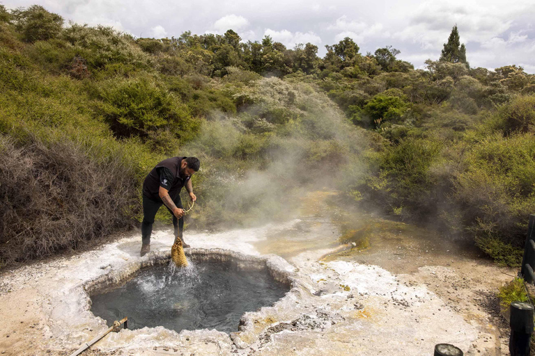 Rotorua: Tour durch das geothermische Tal Te Puia mit kultureller ShowRotorua: Tour durch das geothermische Tal Te Puia mit Kulturshow