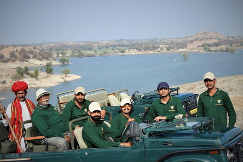 Udaipur: 2-Day Jawai Leopard Safari & Ranakpur Tour