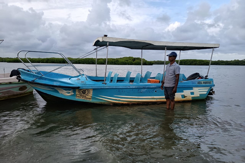 Hamilton Canal Boat Sapari & Negombo Mangrove Sightseeing