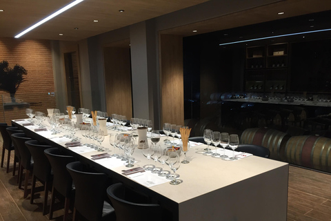 Maipo Valley Wine Tour, Santa Rita And Undurraga From STGO