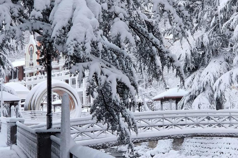 Tbilisi: Borjomi and Bakuriani Day Trip with Guide