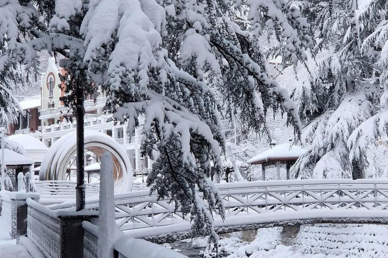 Tbilisi: Borjomi and Bakuriani Day Trip with Guide