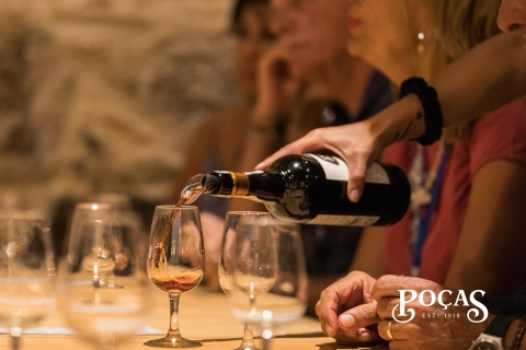 Oporto: Visita guiada y cata de vinos DOC Duero y Oportogira en portugués