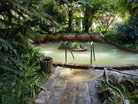 Private Full Day Tour to Furnas with Lunch - Housity