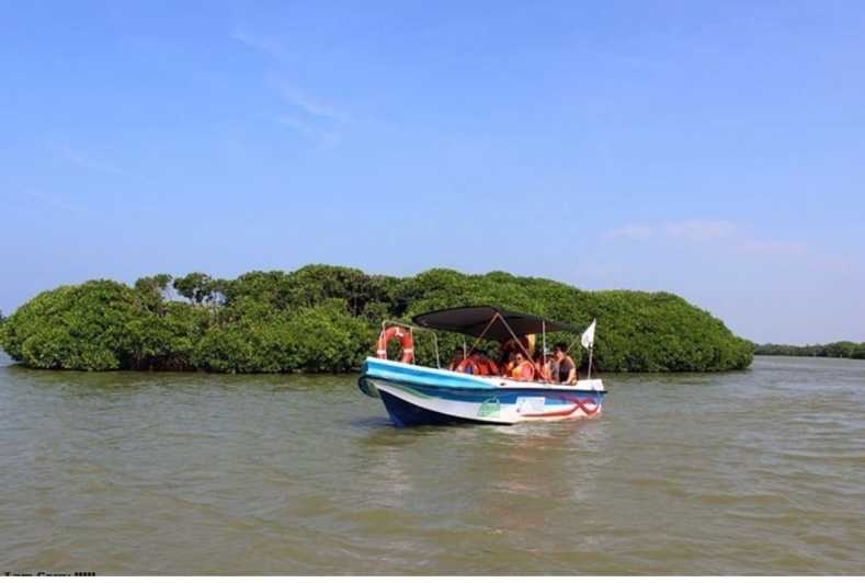 Negombo: Muthurajawela Wetland & Dutch Canal Boat Adventure
